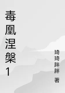 毒凰涅槃1 封面