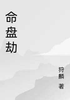 命盤劫 封面