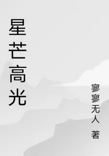 星芒高光 封面
