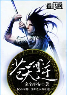 蒼天可逆 封面