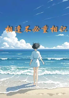 相逢不必重相識 封面