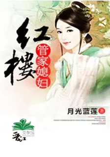 紅樓管家媳婦 封面