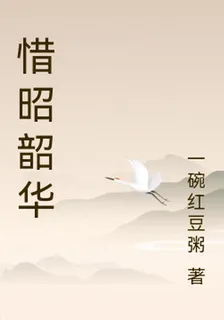 惜昭韶華 封面