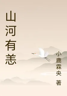 山河有恙 封面