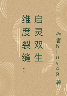 維度裂縫：啓靈雙生 封面