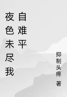 夜色未盡我自難平 封面