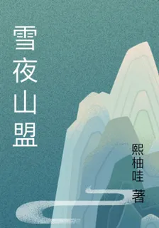 雪夜山盟 封面
