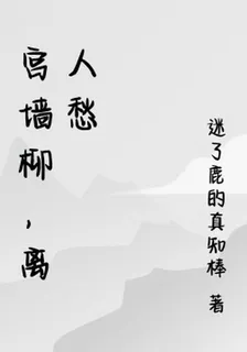 宮牆柳，離人愁 封面