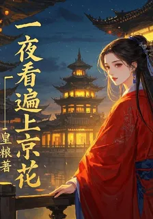 一夜看遍上京花 封面