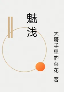 魅淺 封面