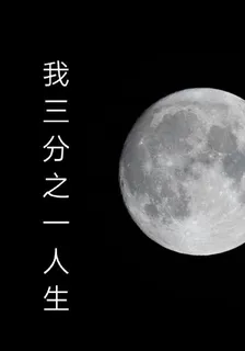 我三分之一人生 封面