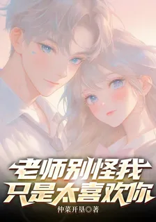 老師別怪我，只是太喜歡你 封面
