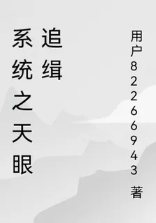 系統之天眼追緝 封面