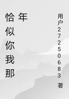 恰似你我那年 封面