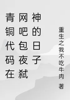 青銅代碼在網吧包夜弒神的日子 封面