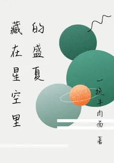 藏在星空裏的盛夏 封面