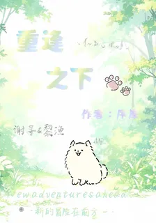 重逢之下 封面