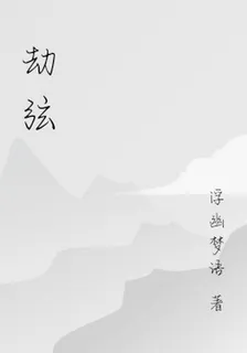 劫弦 封面