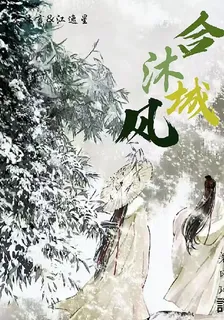 合沐長風 封面