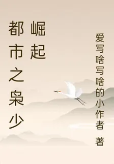 都市之梟少崛起 封面
