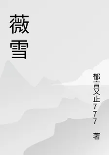 薇薇的雪 封面
