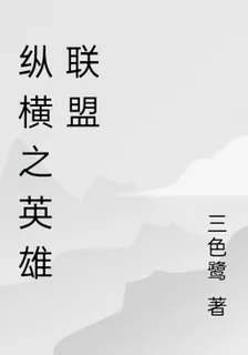 縱橫之英雄聯盟 封面