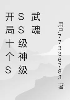 開局十個sss級神級武魂 封面