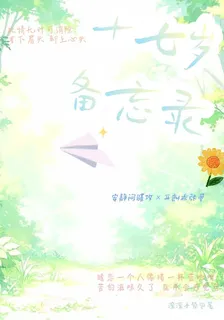 十七歲備忘錄 封面