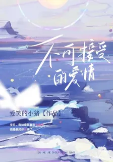 不可接受的愛情 封面