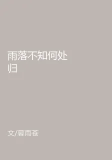 雨落不知何處歸 封面