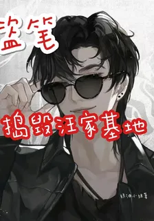 盜筆：搗毀汪家基地 封面