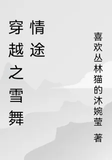 穿越之雪舞情途 封面