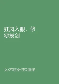 狂風入眼，修羅拔劍 封面