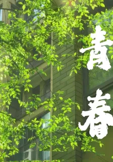 青！春！ 封面