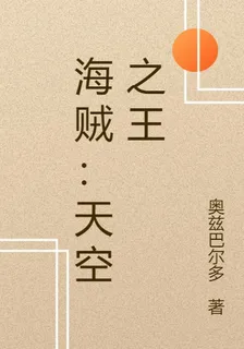 海賊：天空之王 封面