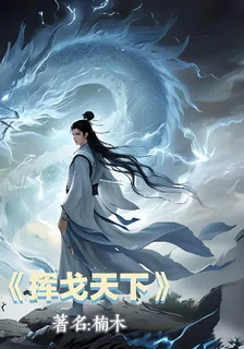 揮戈天下 封面