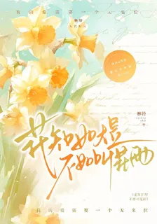 花知如煜不如叫花雨 封面