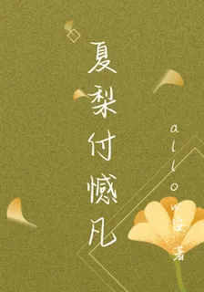 夏梨付憾凡 封面