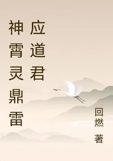 穿越的我做神霄靈鼎雷應道君怎麼 封面