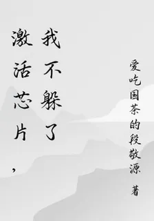 激活芯片，我不躲了 封面