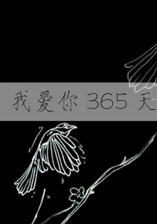 我愛你365天 封面