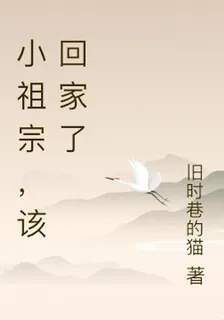 小祖宗，該回家了 封面