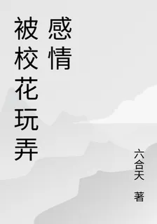 被校花玩弄感情 封面