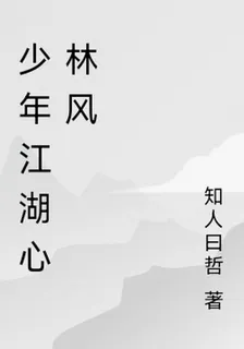 少年江湖心林風 封面