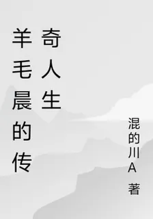 羊毛晨的傳奇人生 封面