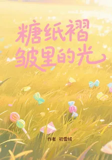 糖紙褶皺裏的光 封面