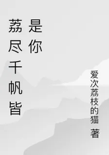 荔盡千帆皆是你 封面