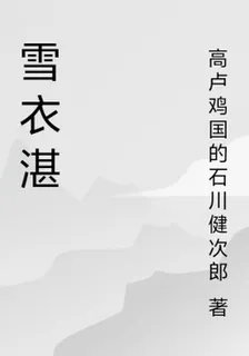 雪衣湛 封面