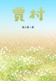 賈村 封面