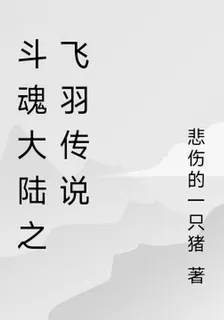 鬥魂大陸之飛羽傳說 封面
